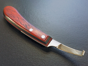 Dick Champion Short Narrow Hoof Knife – or - Embryonics leaders in training