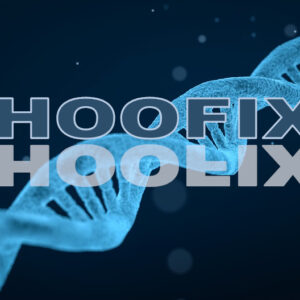 Hoofix