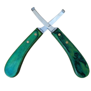 Knives and Sharpening